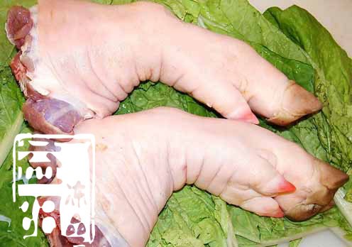供应冷冻前后猪脚系类