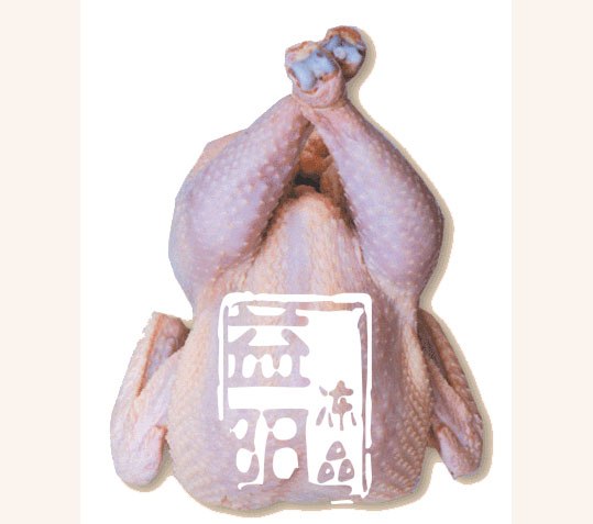 供应冷冻白条鸡