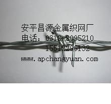 刺绳