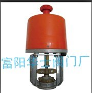 PSL电动执行机构