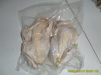 野鸡白条