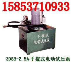 供应业内畅销的3DSB-2.5手提式电动试压泵，电动试压泵价格