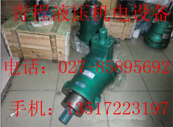 柱塞泵80MCY14-1B