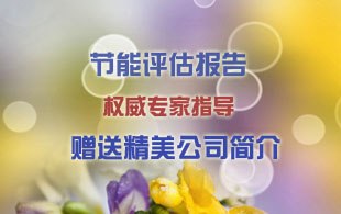 供应汕头、东莞、中山节能评估报告甲级资质盖章服务