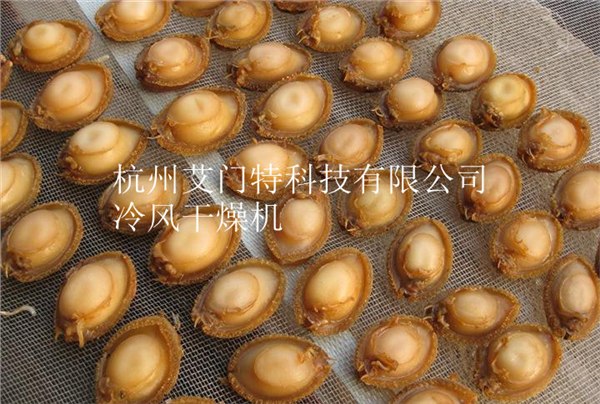 供应鲍鱼冷风干燥机鲍鱼低温烘干机