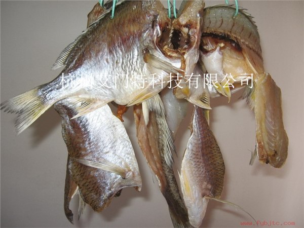 供应青鱼风干机青鱼烘干机
