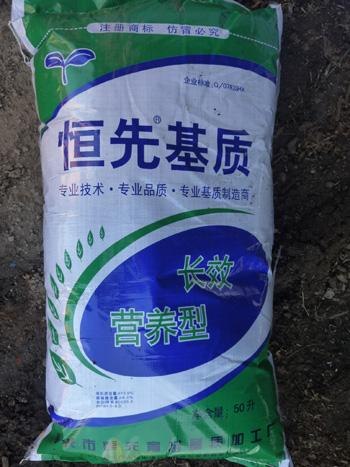 省内销量领先的蔬菜育苗基质 寿光恒先厂家