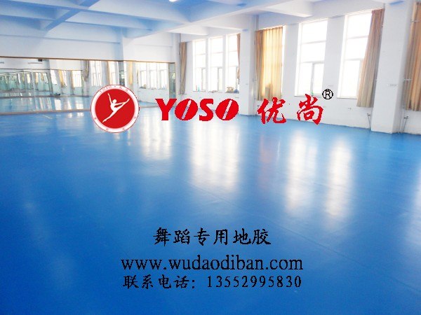 供应北京舞蹈学院地胶,天津舞蹈学院地胶 