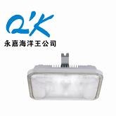 供应海洋王NFC9175无极灯厂家