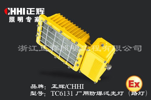 供应BTC6131厂用防爆泛光灯