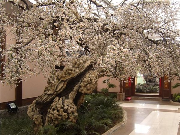 空中花园，花园设计. 室内景观