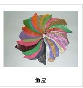 厂家大量供应鲨鱼皮|鲻皮加工品  广州天利批发报价