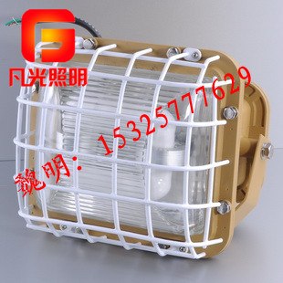 SBF6101-YQL50免维护节能防水防尘防腐泛光灯[环保节能]