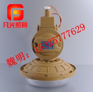 SBD1102-YQL40免维护节能防爆灯【环保节能】