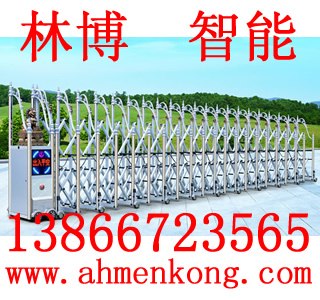 供应六安电动门,宣城电动门,池州高品质电动门,亳州电动门,林博遥控电动门