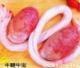 供应冷冻牛鞭牛肉牛排