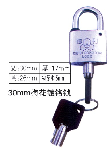 供应利安电器通开表箱锁
