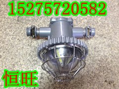 矿用隔爆型LED巷道灯