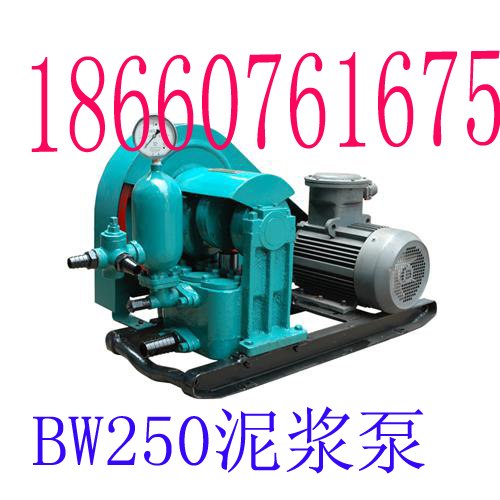供应BW250泥浆泵