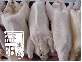 供应冷冻批发整鸭