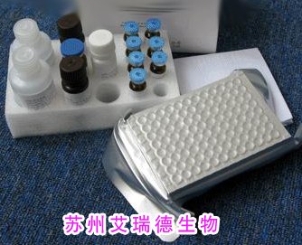 猪蓝耳病毒IgG抗体检测试剂盒