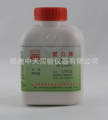 供应蛋白栋分析试剂 生物试剂