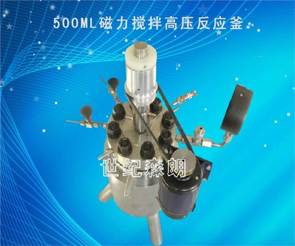 供应澳门500ML磁力搅拌高压反应釜