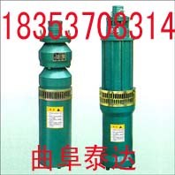 供应QS型潜水泵