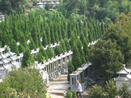 供应上海公墓推介
