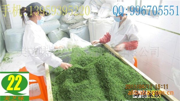 供应青海苔外海海青菜石莼