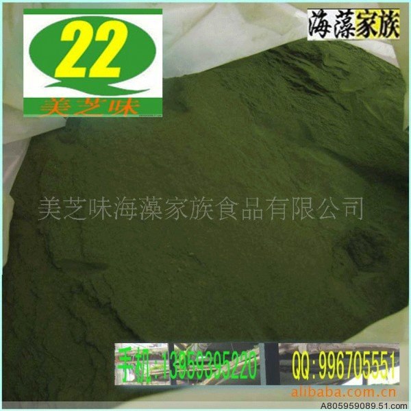 供应缘管浒苔浒苔扁浒苔条腾化原料