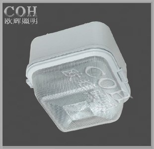 供应嵌入式加油站灯