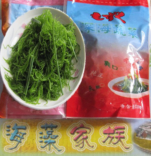 供应海发丝菜龙须菜海菜海藻