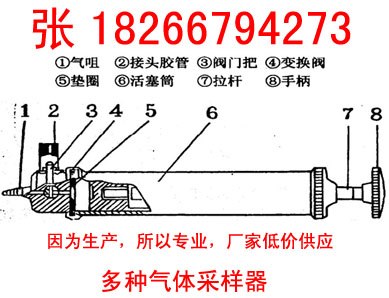 供应DQJ多种气体采样器泰囧