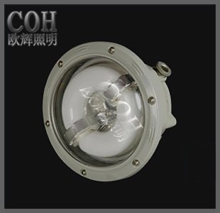 供应40w长寿顶灯/低频无极灯