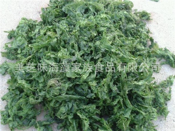 供应海参鲍鱼饲料专用绿菜福建霞浦