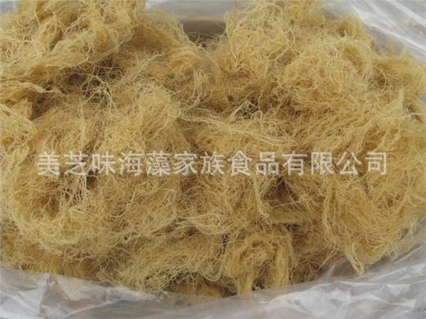 供应白色龙须菜头发菜