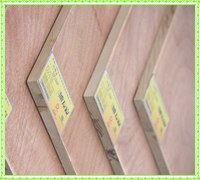 供应德万家18mm花旗松木工板《优等品》