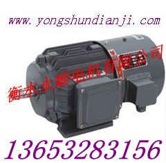 供应Y系列电机==河北永顺电机厂