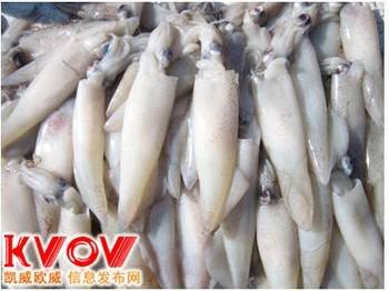 供应冷冻食品批发鱿鱼须鱿鱼头