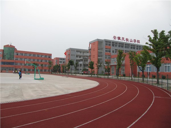 苏州塑胶跑道价格