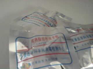 嗜热脂肪杆菌芽孢