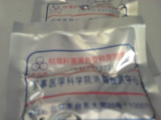 枯草杆菌黑色变种芽孢