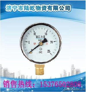 供应 氧气压力表