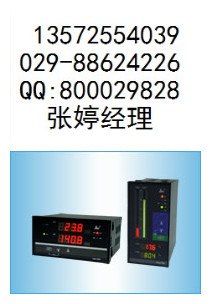 双回路数字显示控制仪
