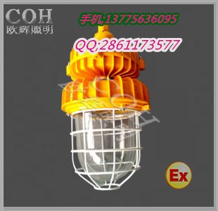 供应 LED防爆灯/50w隔爆型投光灯