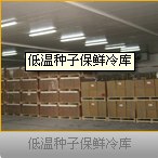 冷库天?