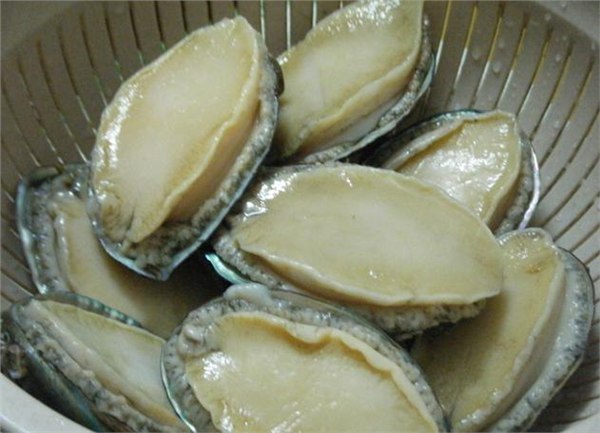 长期批发冷冻鲍鱼 九节虾 石斑鱼