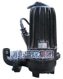 南京蓝深水泵销售维修安装