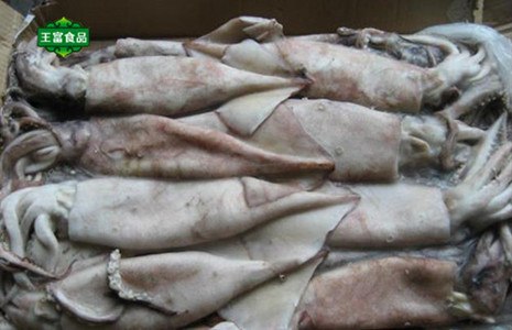 供应进口冷冻鱿鱼顶级便宜鱿鱼最新价格